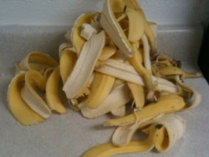 banana_casca2